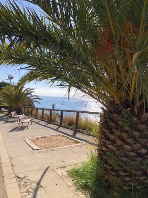 The Hollidays Apartment Calella Kültér fotó